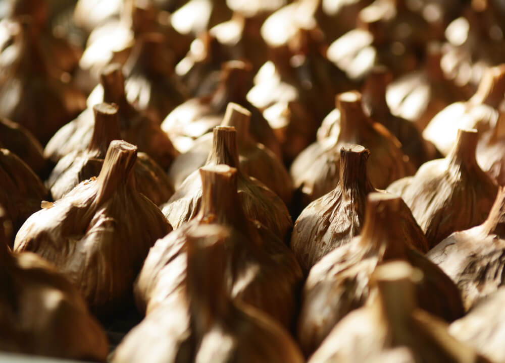 熟成中の黒にんにく