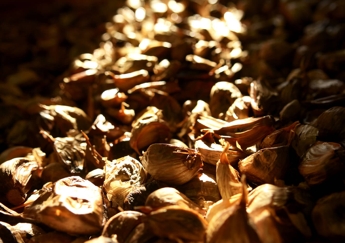 熟成中の黒にんにく